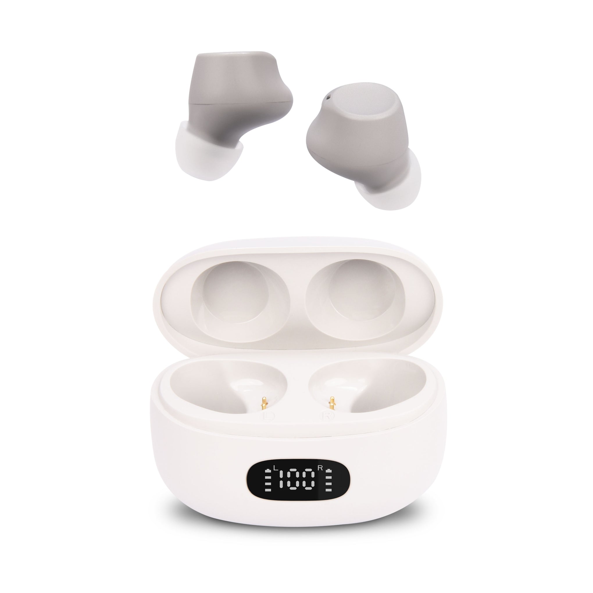 Rechargeable Digital Hearing Aids